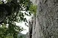 East face of Seneca Rocks