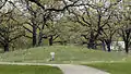 Prehistoric burial mounds