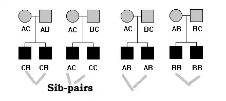 Sib pair example