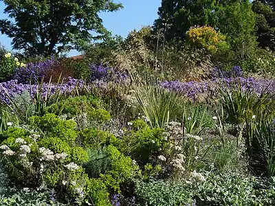 Prairie-style planting, September 2016