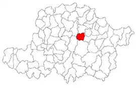 Location in Arad County