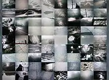 Image Silver Landscape photocollage by Gordon Rice alt