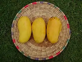 Sindhri mangoes is among top 10 mango varieties in the world