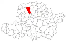 Location in Arad County