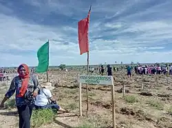 planting trees in Marohogo, a village of Ambalakida