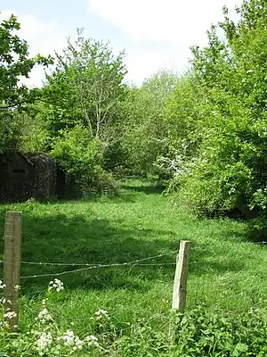 Site of Salehurst Halt