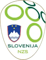 Shirt badge/Association crest