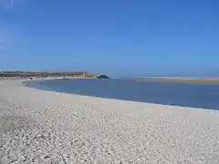 The Dunes of Texel National Park