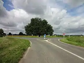 A roundabout containing a centuries-old oak, in Smarves