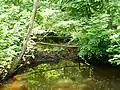 The Smilga River inside the forest