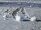 Snow rollers at Lincoln Christian College, Illinois