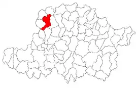 Location in Arad County