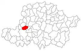 Location in Arad County