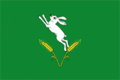 Flag of Șoldănești