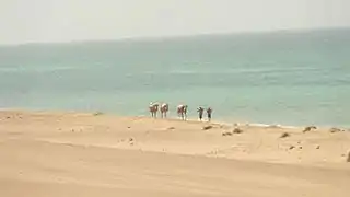 Berbera beach