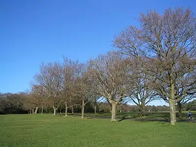 Image 101Trees on Southampton Common in winter (from Portal:Hampshire/Selected pictures)