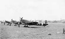 Line up of 485 Squadron 'Subscription' Spitfire Mk. Vbs at RAF Kenley in 1941