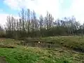 The claypit ponds and community woodlands at the old tileworks