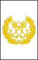 Sri Lanka Navy