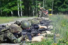 Soldiers with CZ-805 BREN assault rifles