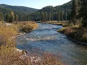 The St. Joe River at Red Ives