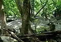 Rocks on French Creek