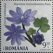 On a 2015 Romanian postage stamp