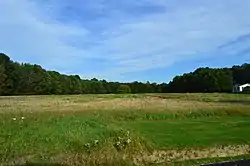 Farmland on Stevenson Road