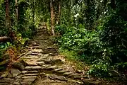 Section of the stone staircase that leads up from the river valley to Ciudad Perdida