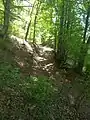 Mount Camiolo di Cima, carriage road leading to Bocca alla Croce