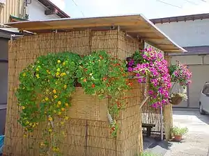 Summerhouse made of yoshi sudare; stems are vertical.