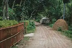 Street that connects Alikhapara and Boroichara, two out of seven neighbours inside Rajdharpur village.