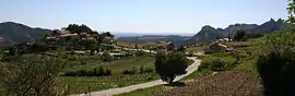 View of Suzette with vineyards