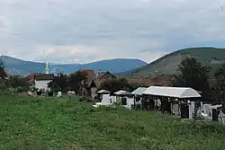 View of Drugovo with village mosque in the background