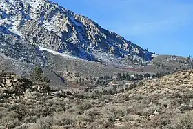 Top end of Swall Meadows (center), below the Wheeler Crest