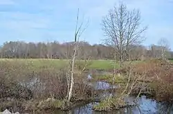 A stream and fields south of Grove City