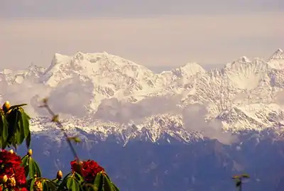 Swargarohini Mountains Range and Buransh Flower