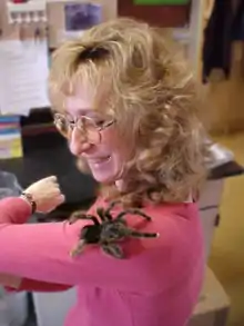 Sy Montgomery visits Sam Marshall's tarantula lab.