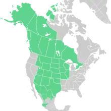 Symphyotrichum falcatum distribution map: Canada — Alberta, British Columbia, Manitoba, Northwest Territories, Ontario, Saskatchewan, and Yukon; Mexico — Chihuahua, Coahuila, Durango, Jalisco, Nuevo León, and Sonora; US — Alaska, Arizona, Colorado, Idaho, Illinois, Iowa, Kansas, Minnesota, Missouri, Montana, Nebraska, New Mexico, North Dakota, Oklahoma, South Dakota, Texas, Utah, Wisconsin, and Wyoming.