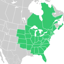 Symphyotrichum pilosum native distribution map: Canada — Nova Scotia, Ontario, and Québec; United States — Alabama, Arkansas, Connecticut, Delaware, District of Columbia, Florida, Georgia, Illinois, Indiana, Iowa, Kansas, Kentucky, Maine, Maryland, Massachusetts, Michigan, Minnesota, Mississippi, Missouri, Nebraska, New Hampshire, New Jersey, New York, North Carolina, Ohio, Oklahoma, Pennsylvania, Rhode Island, South Carolina, South Dakota, Tennessee, Vermont, Virginia, West Virginia, and Wisconsin