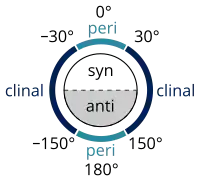 syn/anti peri/clinal