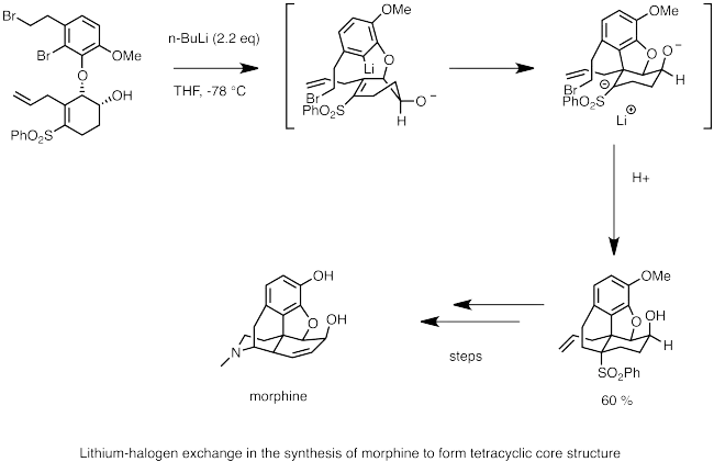 Synthesis of morphine using lithium–halogen exchange