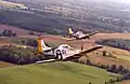 Two T-51 Mustangs flying in formation