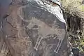 Ancient stone carvings (petroglyphs) found in a small ravine at Tamgaly