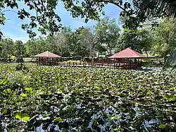 Tasik Sarubing Recreational Park