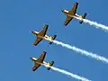 Aerobatic Display