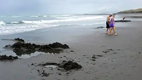 about 100 metres of beach oozes hot water, which is uncovered for about 4 hours at spring low tides, but not at neap tides.