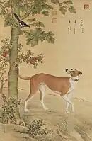 One of a series in Ten Prized Dogs, painted by the Giuseppe Castiglione