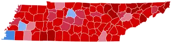 Final results by county