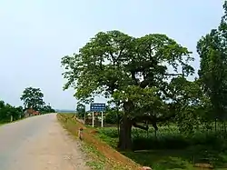 Welcome Sign to Thanh Sơn, Phú Thọ, Vietnam